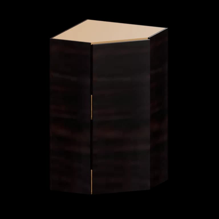 Auburn 24-in Diagonal Corner Wall Cabinet (WCD2442) in Ultra Wenge
